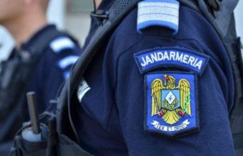 Tulcea: Zeci de stupi salvaţi de jandarmi din calea flăcărilor