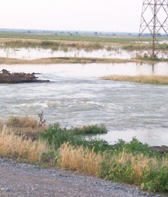 După opt ani! M.A.I. și Ministerul Agriculturii recunosc JAFUL de la Tulcea