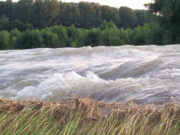 Obiectiv de Tulcea, pe vremea când nu era ”tonomatul” baronilor PSD: Refuzul Agrodelta la plata concesiunii este perfect justificat cu acte